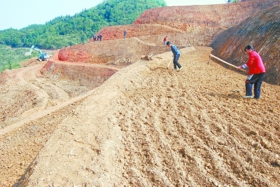 黨建引領房地產開發 斬斷窮根開富路